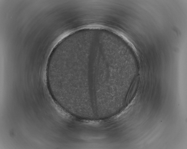 X0000111471229200908241334