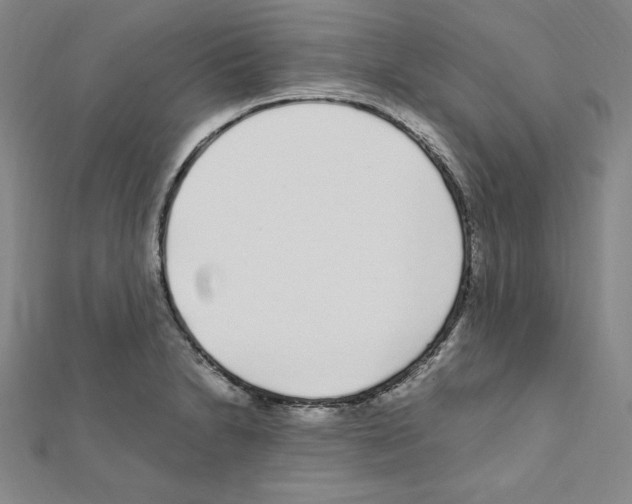 X0000111471230200908241334