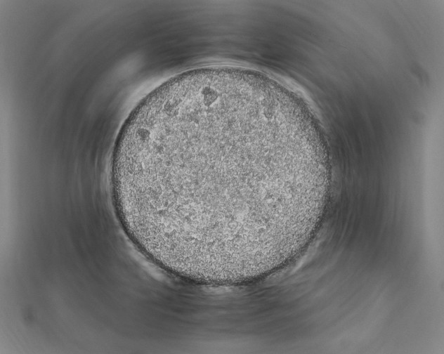 X0000111471231200908241334