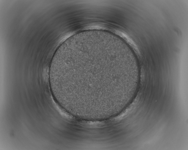 X0000111471233200908241334