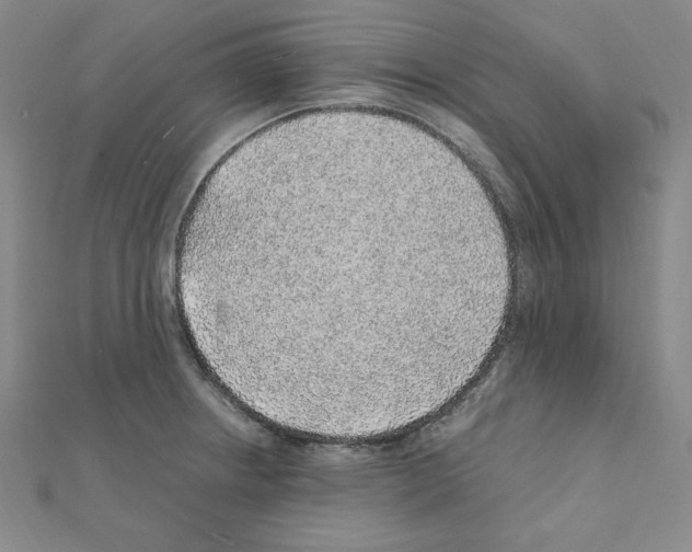 X0000111471234200908241334