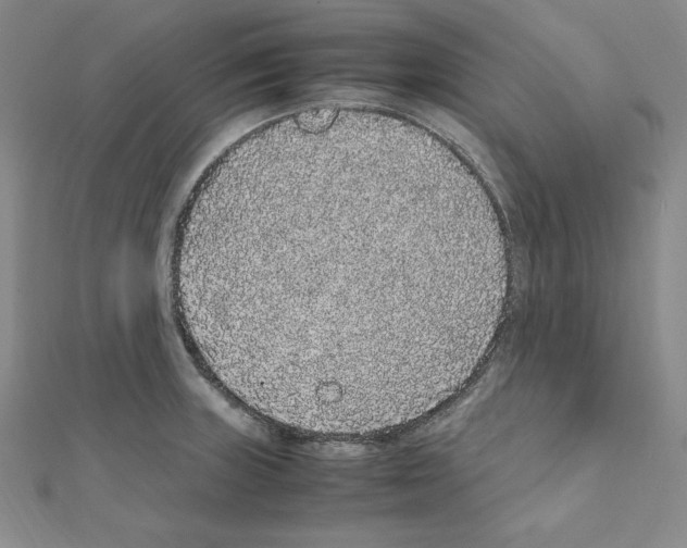 X0000111471235200908241334