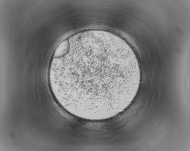 X0000111471237200908241335