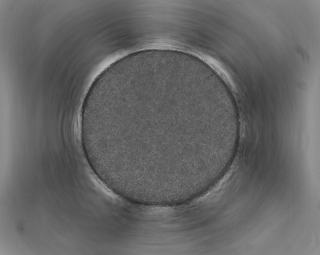 X0000111471238200908241335