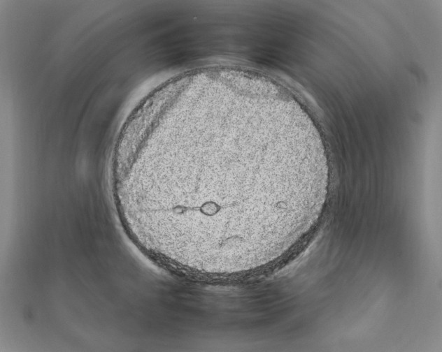 X0000111471239200908241335