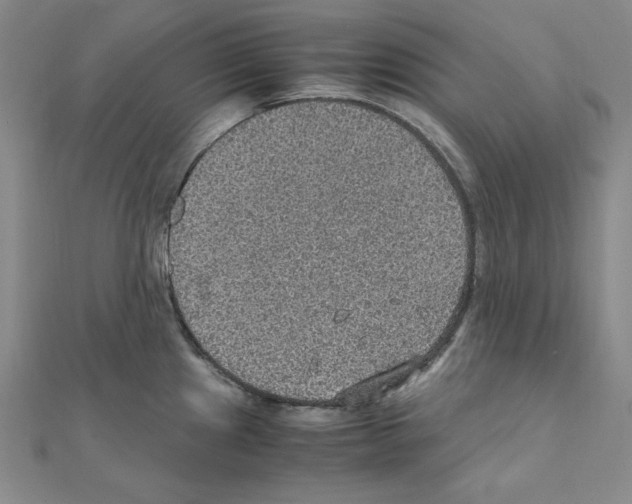 X0000111471241200908241335