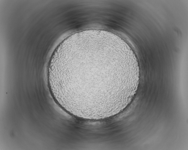 X0000111471243200908241335