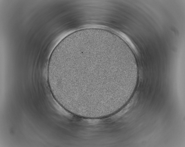 X0000111471244200908241335