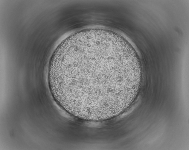 X0000111471245200908241335