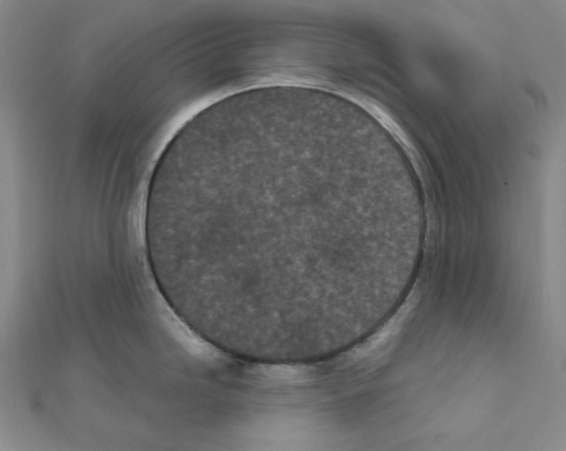 X0000111471246200908241335