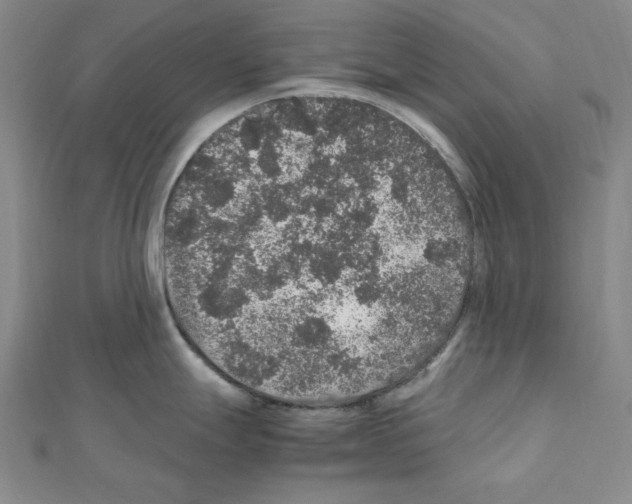 X0000111471247200908241335