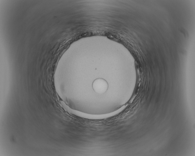 X0000111471249200908241334