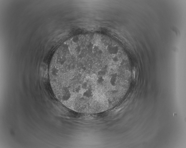 X0000111471251200908241334