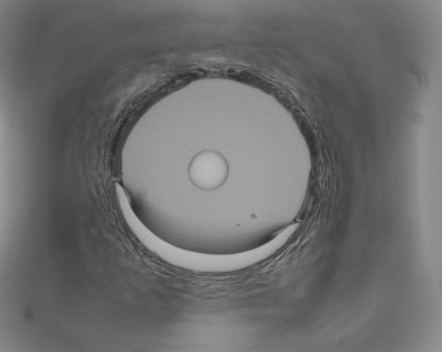 X0000111471253200908241334