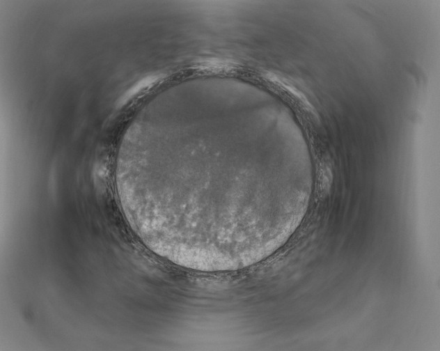 X0000111471254200908241334