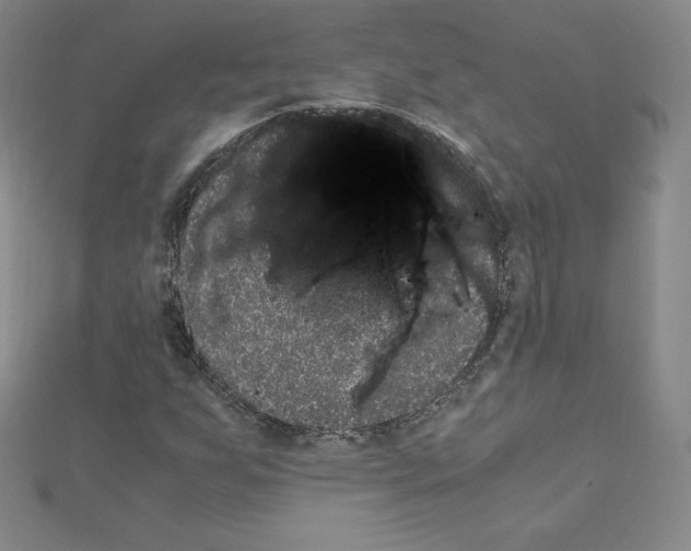 X0000111471255200908241334