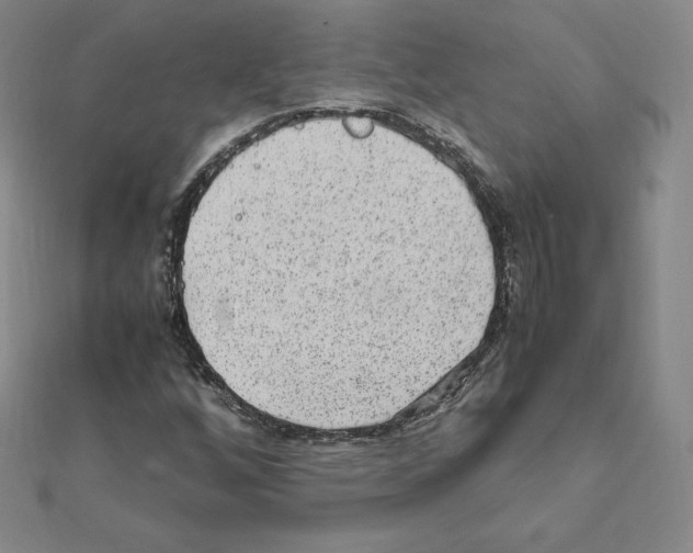 X0000111471256200908241334