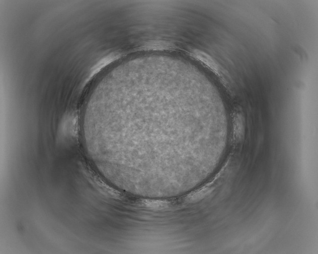 X0000111471258200908241334