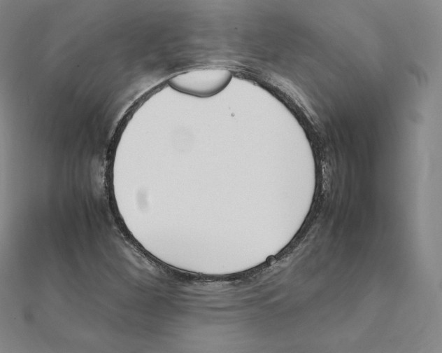 X0000111471260200908241334