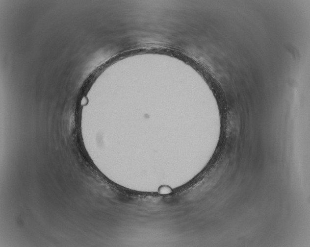 X0000111471261200908241334