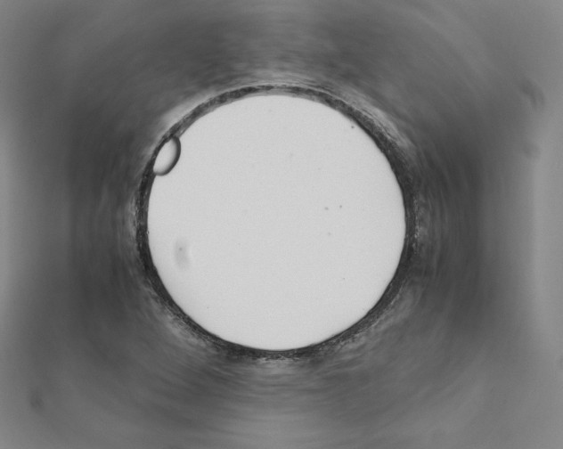 X0000111471264200908241334