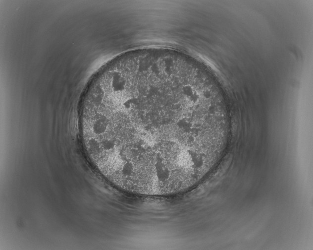 X0000111471267200908241334