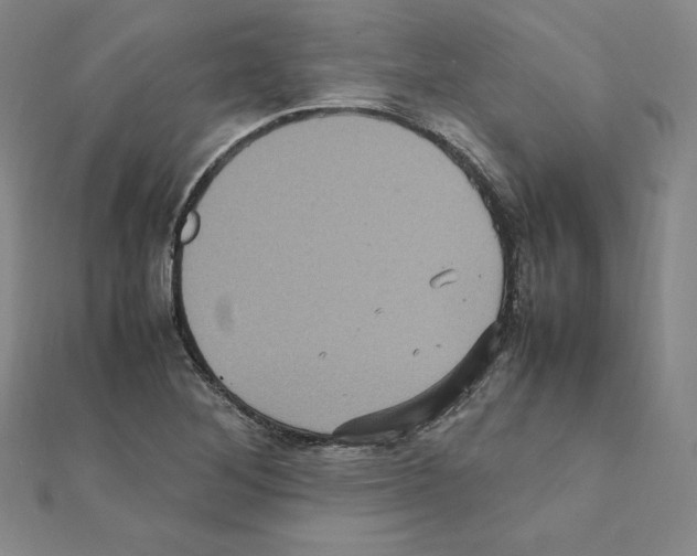 X0000111471268200908241334