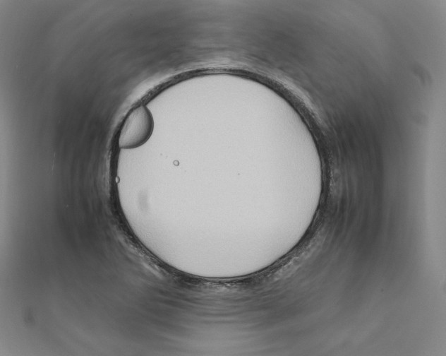 X0000111471270200908241334