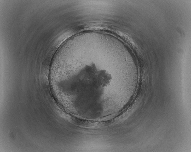 X0000111471273200908241334