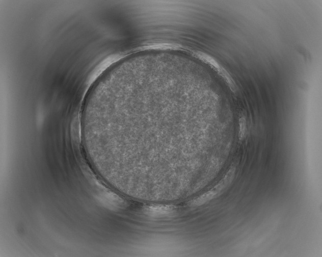 X0000111471274200908241334