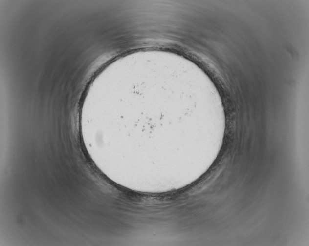 X0000111471275200908241334