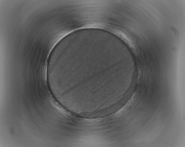 X0000111471276200908241334