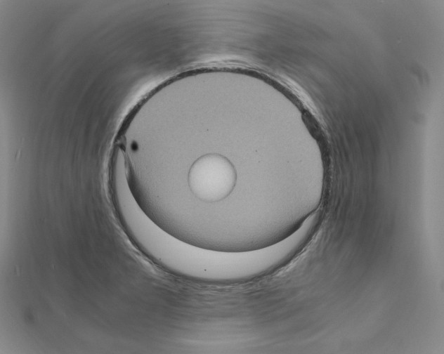 X0000111471277200908241334