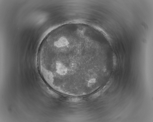 X0000111471278200908241334