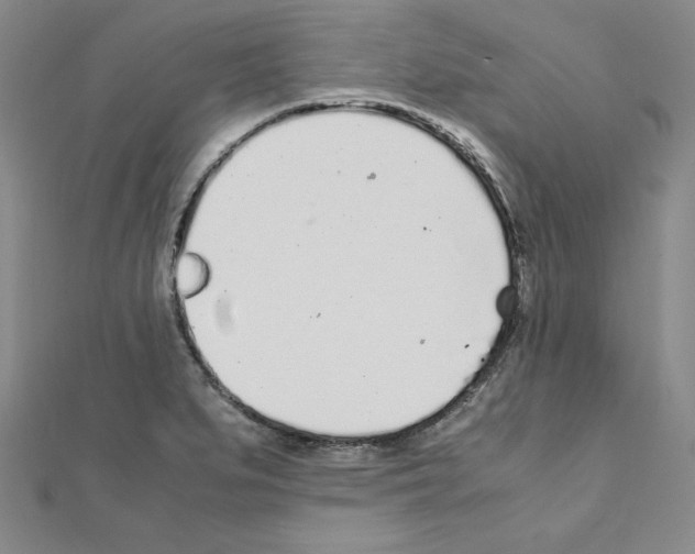 X0000111471279200908241333