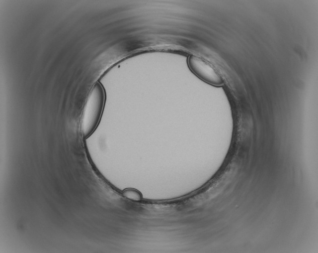 X0000111471281200908241333