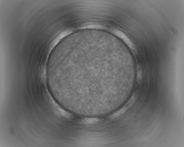 X0000111471282200908241333