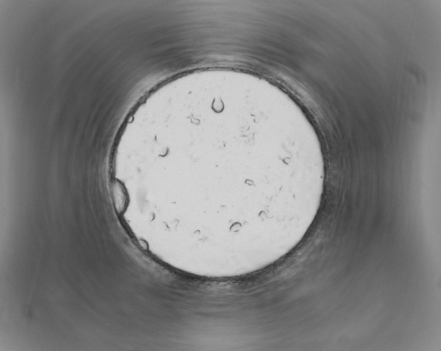 X0000111471283200908241333