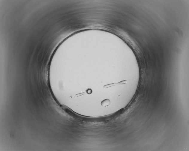 X0000111471284200908241333