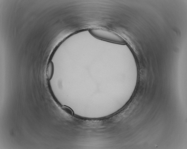 X0000111471285200908241333