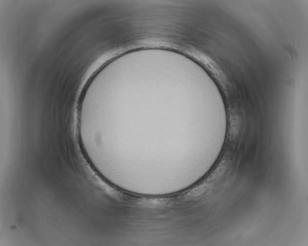 X0000111471286200908241333