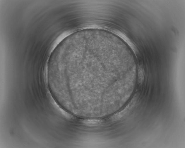 X0000111471290200908241333