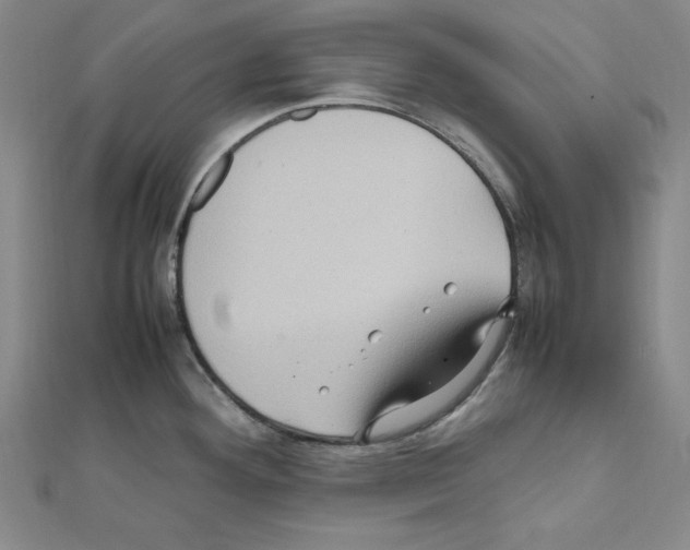 X0000111471292200908241333