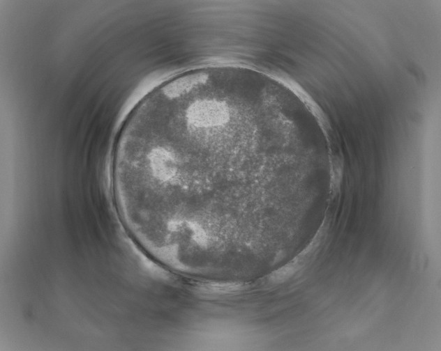 X0000111471294200908241333