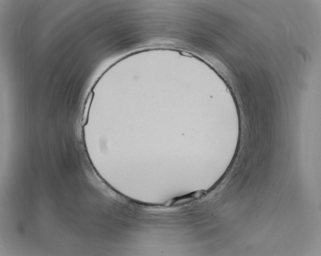 X0000111471296200908241333