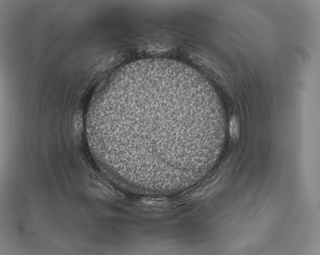 X0000111471299200908241333