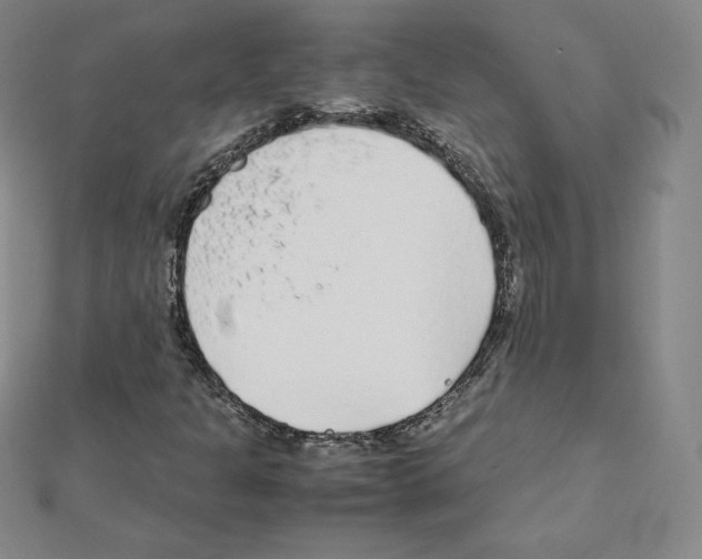 X0000111471301200908241333