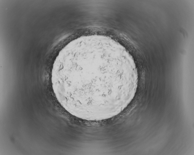 X0000111471302200908241333