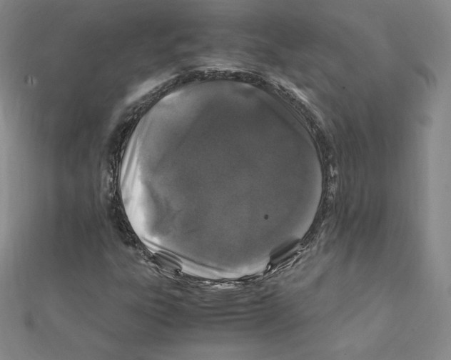 X0000111471303200908241333