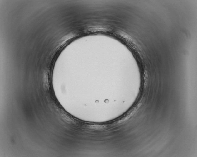 X0000111471305200908241333